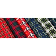 Banner 1